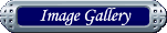 Image Gallery