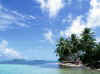 island.jpg (5015 bytes)