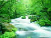 river.jpg (179309 bytes)