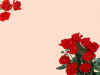 roseBG.jpg (29898 bytes)